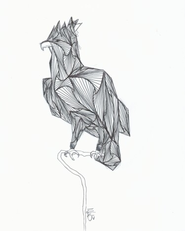 Drawing titled "Nature Géometrique…" by Lucas Martin (LM), Original Artwork, Ballpoint pen