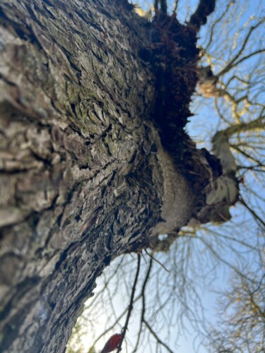 Fotografía titulada "Struktur" por Lucas Riedel, Obra de arte original, Fotografía digital