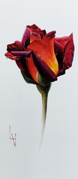 Картина под названием ""Fire Rose"" - Vasyl Luchkiv, Подлинное произведение искусства, Масло