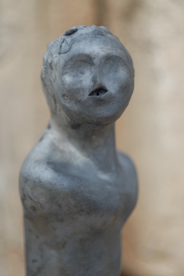 Sculpture titled "Il Rozzo Ineducato" by Luciana Perego, Original Artwork, Ceramics