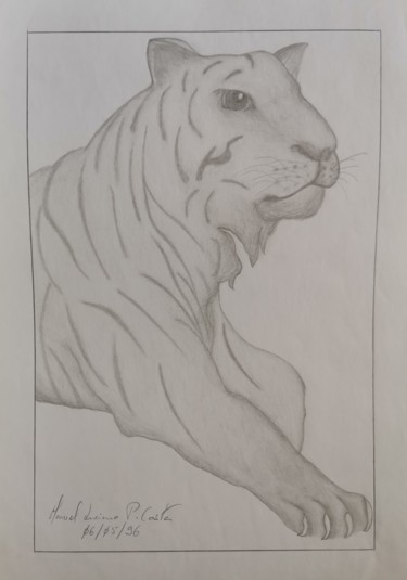 Disegno intitolato "Tigre  (grafite sob…" da Luciano Costa, Opera d'arte originale, Grafite