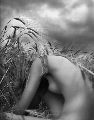 Photographie intitulée "ears of wheat" par Luciano Cotena, Œuvre d'art originale, Photographie argentique