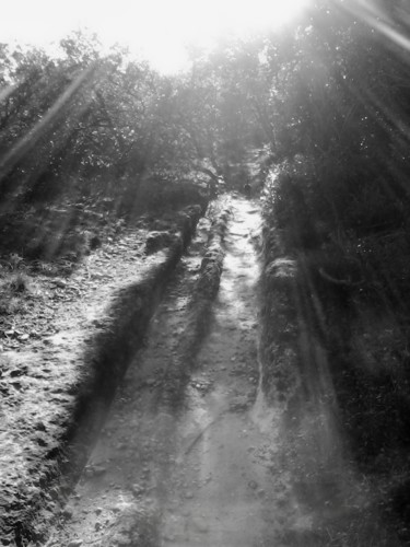 Photographie intitulée "Chemin de Roches" par Lucie Lucy, Œuvre d'art originale
