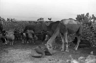 Photographie intitulée "Maroc 1970-2018" par Lucien Duhamel, Œuvre d'art originale