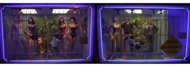 Photography titled "Vitrine" by Lucien Duhamel, Original Artwork, Digital Photography