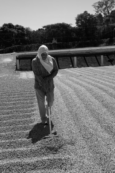 "Voyage humanitaire" başlıklı Fotoğraf Lucien Duhamel tarafından, Orijinal sanat, Dijital Fotoğrafçılık