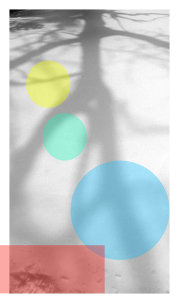 Фотография под названием "Arbre" - Lucien Duhamel, Подлинное произведение искусства, Цифровая фотография
