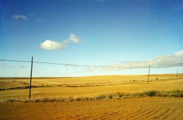 Fotografia intitulada "Chemins de Composte…" por Lucien Duhamel, Obras de arte originais