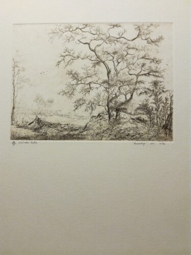 Estampas & grabados titulada "landschap" por Lucienne Van Sande, Obra de arte original, Aguafuerte