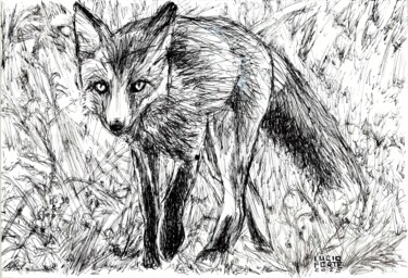 Рисунок под названием "Fox" - Lucio Forte, Подлинное произведение искусства, Чернила