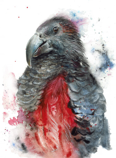Painting titled "Pesquet Parrot" by Ludmila Kolbenova, Original Artwork, Watercolor