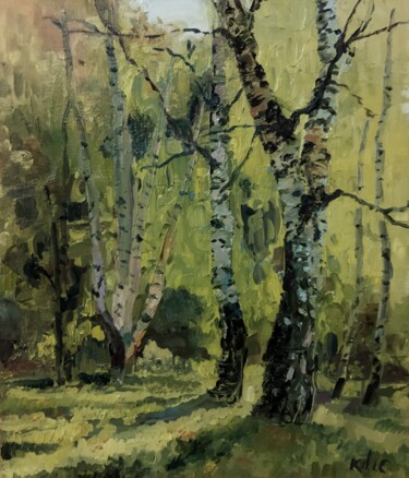 Painting titled "Light between birch…" by Liudmila Kylych, Original Artwork, Oil
