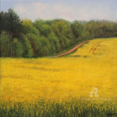 Painting titled "Rapeseed field in s…" by Ludmilla Ukrow, Original Artwork, Oil