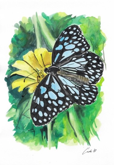 Pintura intitulada "butterfly-4.jpg" por Ludo Sevcik, Obras de arte originais, Aquarela