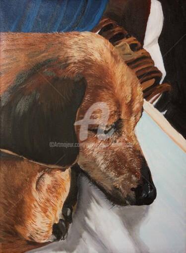 Malerei mit dem Titel "Ein schlafender Hund" von Luethi Alias Abdelghafar, Original-Kunstwerk, Öl