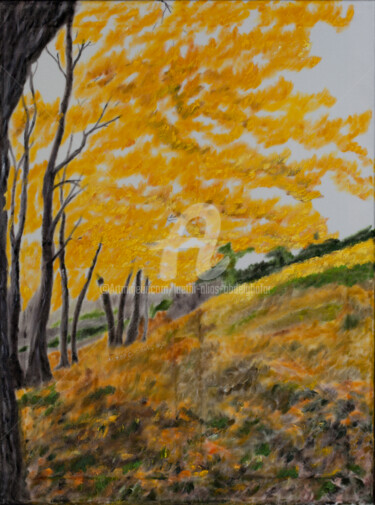 Malerei mit dem Titel "Bunter Herbstwald" von Luethi Alias Abdelghafar, Original-Kunstwerk, Öl Auf Keilrahmen aus Holz monti…