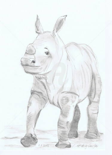 Zeichnungen mit dem Titel "Rhino Baby" von Luethi Alias Abdelghafar, Original-Kunstwerk, Bleistift
