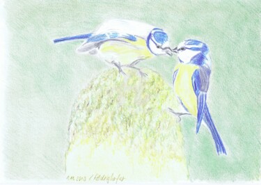 Рисунок под названием "Blaumeisen Paar" - Luethi Alias Abdelghafar, Подлинное произведение искусства, Цветные карандаши