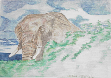 Tekening getiteld "Elephant" door Luethi Alias Abdelghafar, Origineel Kunstwerk, Conté