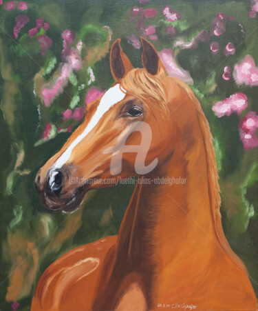 Malerei mit dem Titel "Wunderschönes Pferd…" von Luethi Alias Abdelghafar, Original-Kunstwerk, Öl Auf Keilrahmen aus Holz mo…