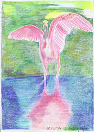 Zeichnungen mit dem Titel "Flamingo" von Luethi Alias Abdelghafar, Original-Kunstwerk, Conté-Buntstifte