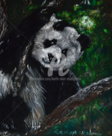 Painting titled "Pandabär" by Luethi Alias Abdelghafar, Original Artwork, Oil Mounted on Wood Stretcher frame