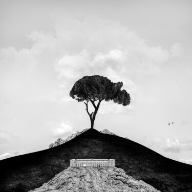 Digital Arts titled "The tree of Life" by Luigi M. Verde, Original Artwork, Manipulated Photography