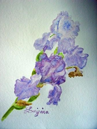 Peinture intitulée "iris bleu" par Luigina, Œuvre d'art originale, Huile