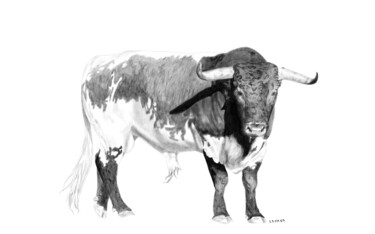 Arte digital titulada "Toro berrendo" por Lacasa, Obra de arte original, Scratchboard