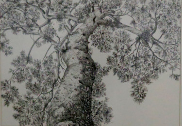 Dessin intitulée "pinoroble.jpg" par Lacasa, Œuvre d'art originale, Encre