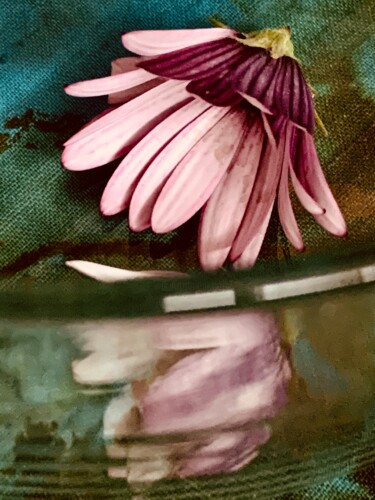 Fotografie mit dem Titel "reflejos de flor" von Luisa Grau, Original-Kunstwerk, Digitale Fotografie