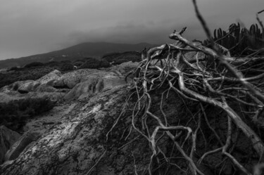 Photographie intitulée "Praia do Abano" par Luís Da Cunha Pais, Œuvre d'art originale, Photographie numérique