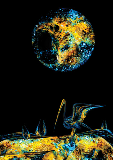 Digitale Kunst mit dem Titel "Birduinarius X" von Łukasz Pawlicki, Original-Kunstwerk, Digitale Fotografie