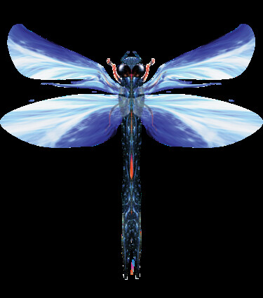 Digital Arts titled "Blue Dragonfly No.1" by Łukasz Pawlicki, Original Artwork, Digital Painting