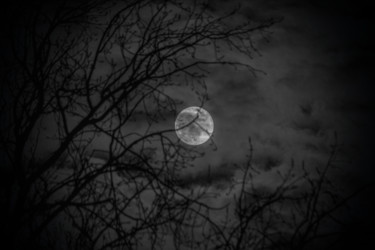 Fotografia zatytułowany „Full Super Moon” autorstwa Luke Hermans Photography, Oryginalna praca