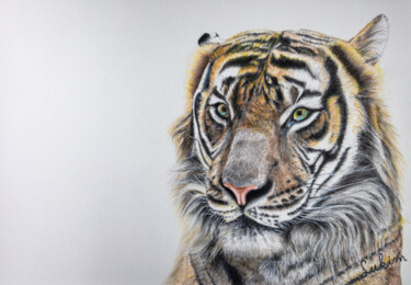 Рисунок под названием "Eye of Tiger" - Lukim, Подлинное произведение искусства, Карандаш