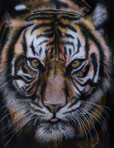 Tekening getiteld "Drawing of a tiger" door Lukman Arifin, Origineel Kunstwerk, Potlood