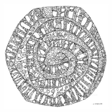 Desenho intitulada "Espiral Sonho" por Lu Paternostro, Obras de arte originais, Impressão digital
