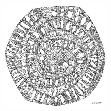 Espiral Sonho Drawing titled "Espiral Sonho" by Lu Paternostro, Original Art, Digital Print