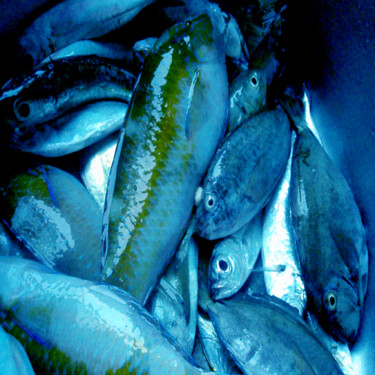 Photographie intitulée "Pêche en bleu" par Ly-Rose, Œuvre d'art originale