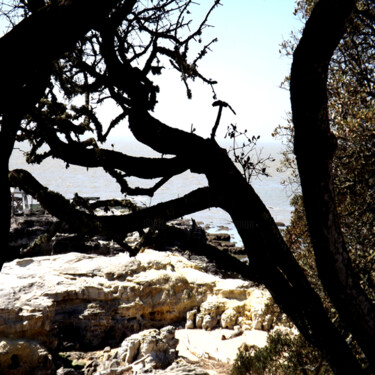 "SANS TITRE" başlıklı Fotoğraf Ly-Rose tarafından, Orijinal sanat