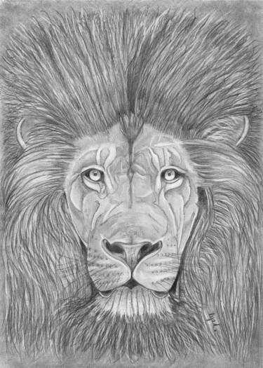 Dessin intitulée "Le lion sage" par Eric Schroedel, Œuvre d'art originale, Graphite