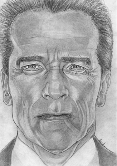 Dessin intitulée "Arnold Schwarzenegg…" par Eric Schroedel, Œuvre d'art originale, Graphite