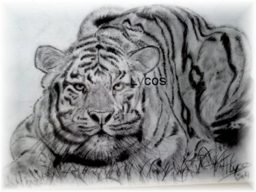 Zeichnungen mit dem Titel "tigre bondissant" von Lycos, Original-Kunstwerk, Graphit