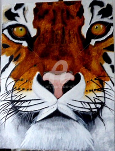 Painting titled "tigre du Bengale" by Lydie Frances-Ingles (dylie), Original Artwork, Oil