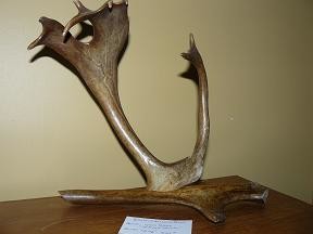 Sculpture intitulée "Le coq" par Lynda Poirier, Œuvre d'art originale