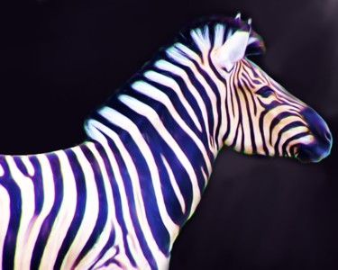 Digital Arts titled "Grants Zebra" by Lynn A Marie, Original Artwork, Digital Painting