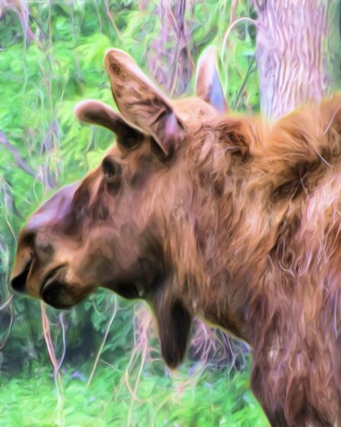 Digital Arts titled "Moose In The Woods" by Lynn A Marie, Original Artwork, Digital Painting