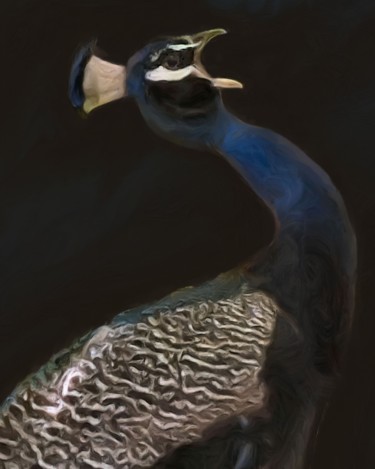Digital Arts titled "Calling Peacock" by Lynn A Marie, Original Artwork, Digital Painting