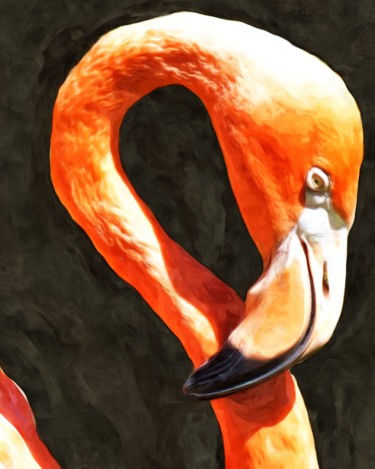 Digital Arts titled "Flamingo Portrait" by Lynn A Marie, Original Artwork, Digital Painting